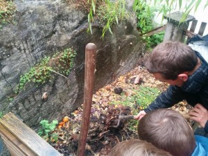 2018-05-16 Naturparkstunde Verwandlungskuenstler (11).JPG