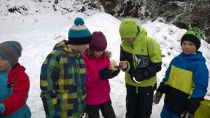 2015-02-24 Naturparkstunde mit Naturfuehrerin Irene (11).JPG