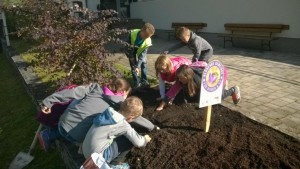 2015-10-20 Naturparkstunde - Krokuszwiebel setzen - Lesen in Naturbuechern (9).JPG