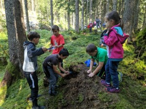 2019-09-18 Naturparkstunde Waldboden (11).JPG