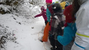 2015-02-24 Naturparkstunde mit Naturfuehrerin Irene (17).JPG